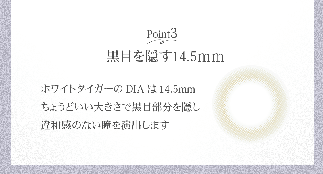 POINT3 ܤ򱣤14.5ۥۥ磻ȥDIA14.5mm礦ɤ礭ǹʬ򱣤´ΤʤƷФޤ